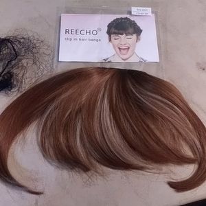 Reecho  Full Length Synthetic Clip in Hair Bangs